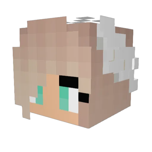Jennys_Block Minecraft avatar head, 3D render