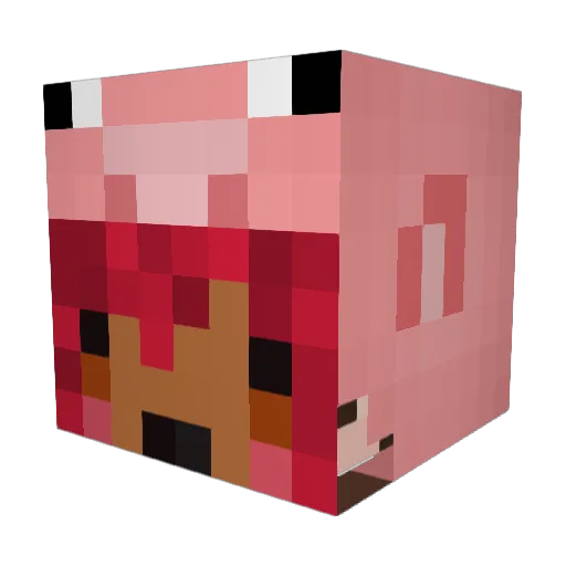 Jenowefa Minecraft avatar head, 3D render