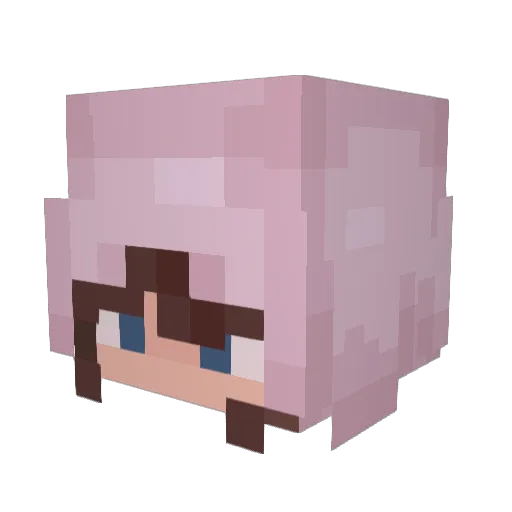 Jenselllx Minecraft avatar head, 3D render