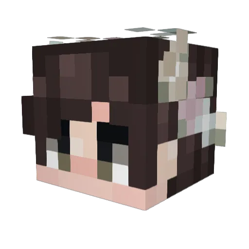 Jensen2015 Minecraft avatar head, 3D render