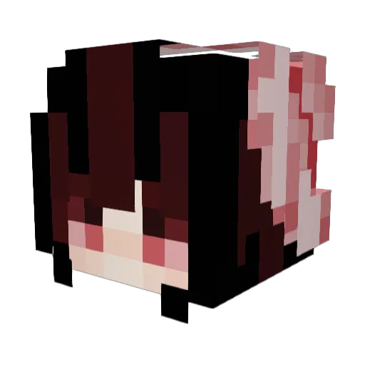 Jensen_H Minecraft avatar head, 3D render