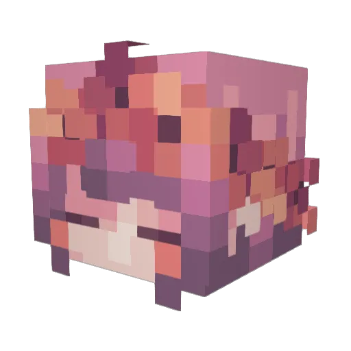 Jensetii Minecraft avatar head, 3D render