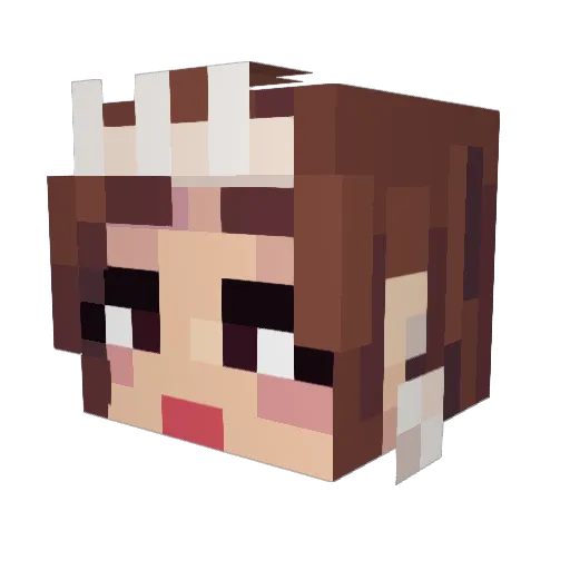 Jensetter Minecraft avatar head, 3D render