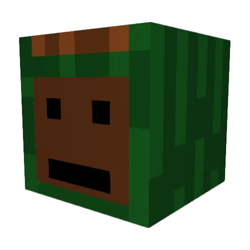 Jenshusfloen Minecraft avatar head, 3D render