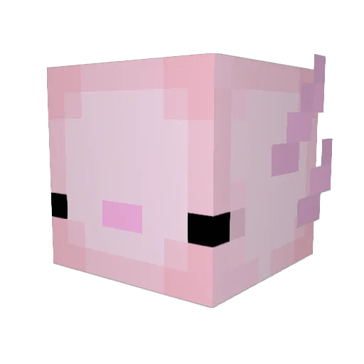 JensonBell Minecraft avatar head, 3D render