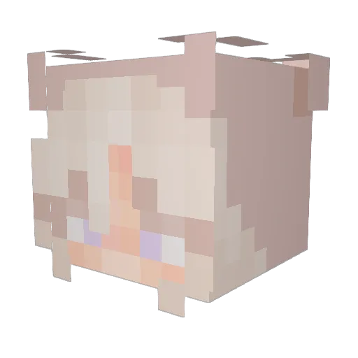 Jente4ever Minecraft avatar head, 3D render