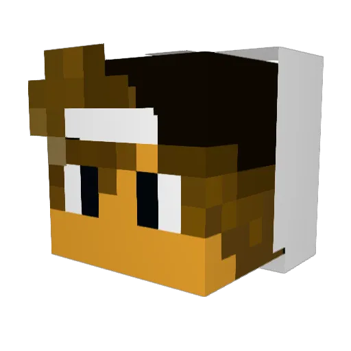 Jentehoi Minecraft avatar head, 3D render