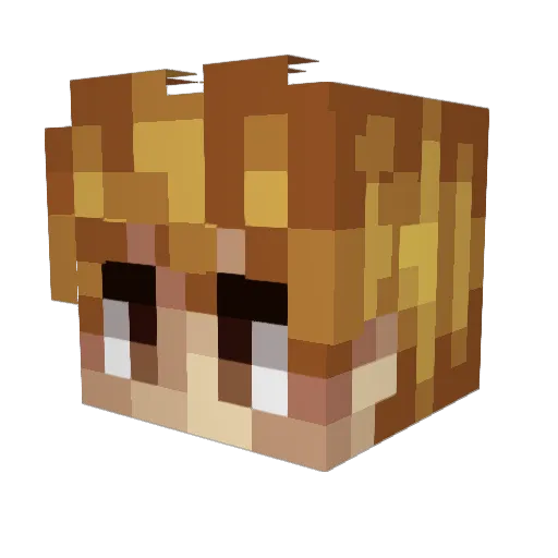 Jentex Minecraft avatar head, 3D render