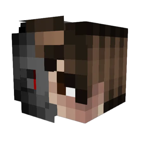 JentexSkins Minecraft avatar head, 3D render