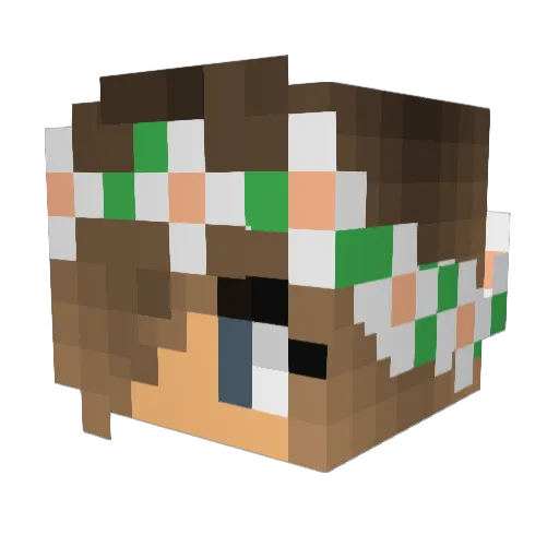 Jenx56 Minecraft avatar head, 3D render