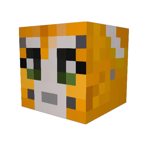 Jenzina Minecraft avatar head, 3D render