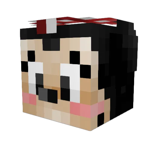 Jenzylla Minecraft avatar head, 3D render