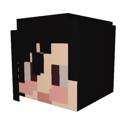 JeongWendy Minecraft avatar head, 3D render