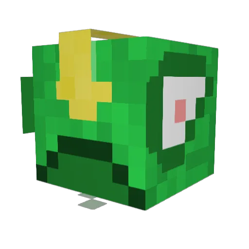 Jer3_Em1 Minecraft avatar head, 3D render
