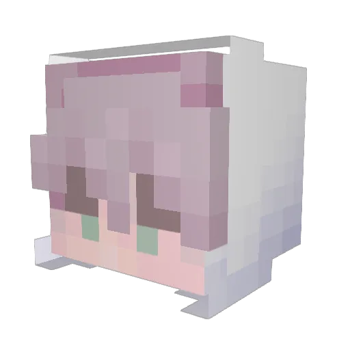 Jer_14 Minecraft avatar head, 3D render