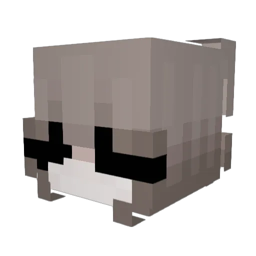 Jerada Minecraft avatar head, 3D render