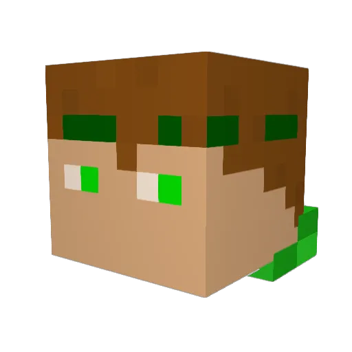 Jere01 Minecraft avatar head, 3D render