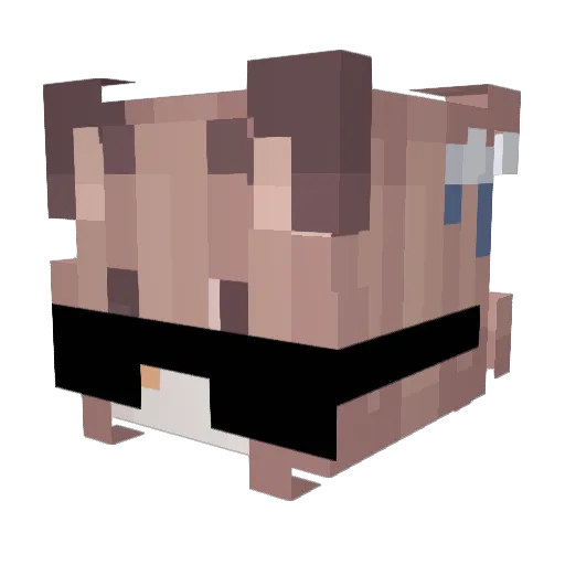 Jere67 Minecraft avatar head, 3D render