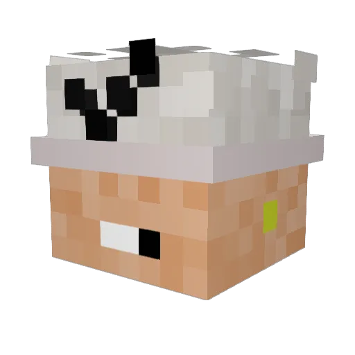 JereT14 Minecraft avatar head, 3D render