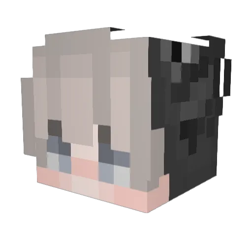 JereeKz Minecraft avatar head, 3D render