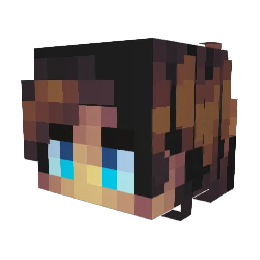 Jeremy0601 Minecraft avatar head, 3D render