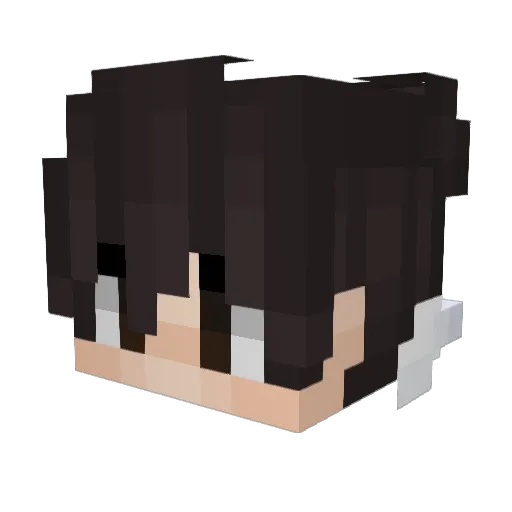 Jeremy3345678 Minecraft avatar head, 3D render