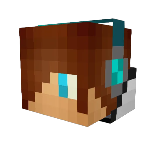 JeremyFTW_ Minecraft avatar head, 3D render
