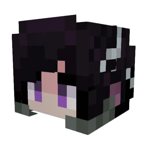 JeremySED Minecraft avatar head, 3D render