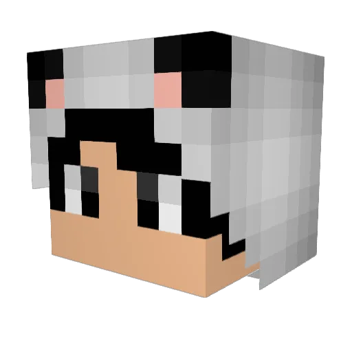 Jeremy_Bear Minecraft avatar head, 3D render