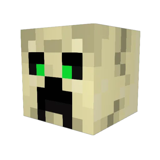 Jeremy_D11 Minecraft avatar head, 3D render