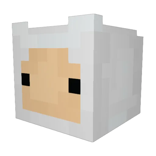 Jeremy_Fisher Minecraft avatar head, 3D render
