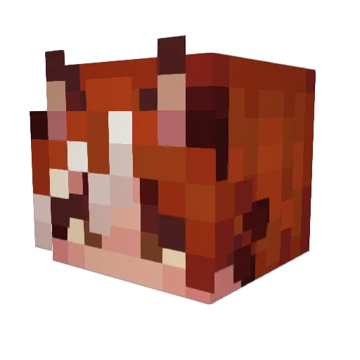 Jeremynomy Minecraft avatar head, 3D render
