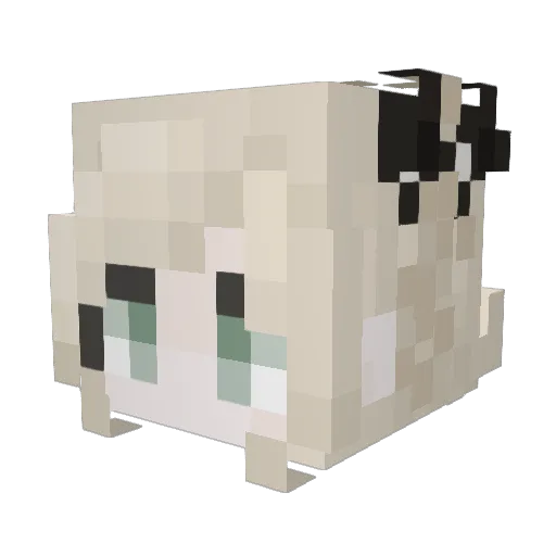 Jeremys_Ghost Minecraft avatar head, 3D render