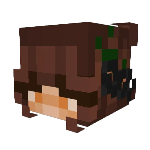 Jeremyyy69 Minecraft avatar head, 3D render