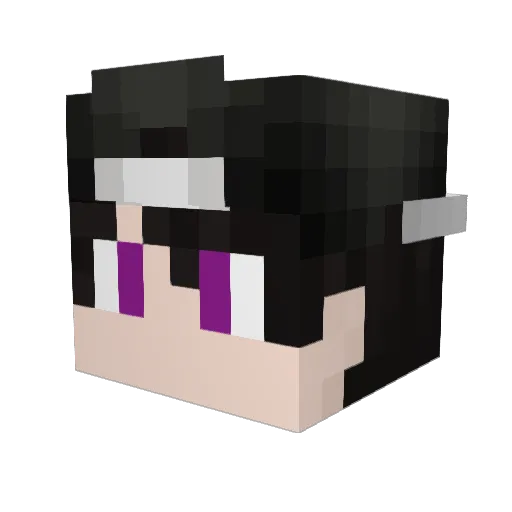 Jerimba Minecraft avatar head, 3D render