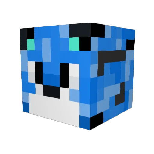 Jerimue Minecraft avatar head, 3D render
