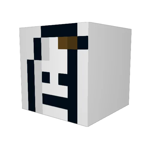 Jerkmateblaster7 Minecraft avatar head, 3D render