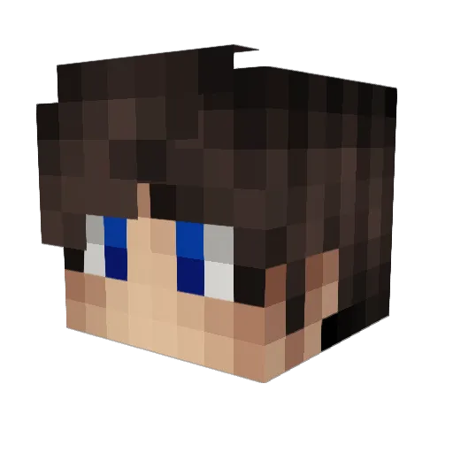 Jerky_ Minecraft avatar head, 3D render