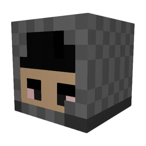 Jerome2210 Minecraft avatar head, 3D render