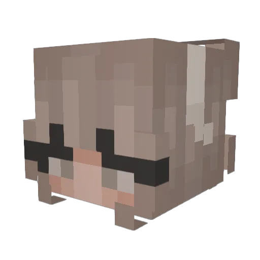 JeromeTheBest Minecraft avatar head, 3D render