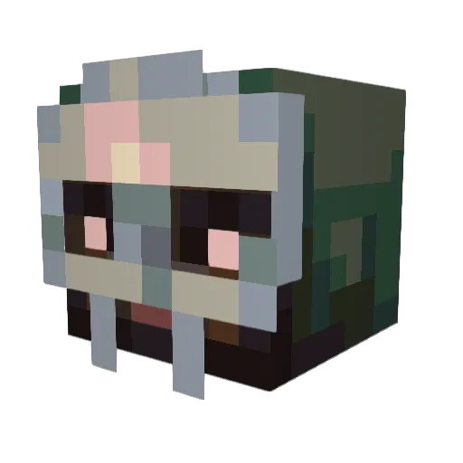 JeromeVoidwalker Minecraft avatar head, 3D render