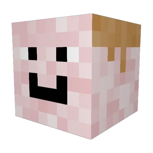 Jerppa98 Minecraft avatar head, 3D render