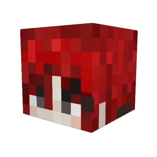 Jerr1ng Minecraft avatar head, 3D render