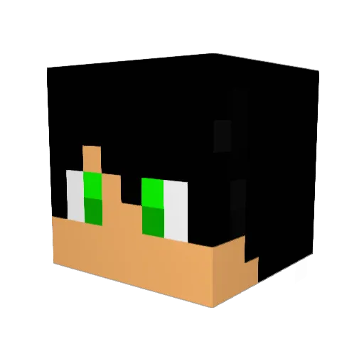 Jerrit1000 Minecraft avatar head, 3D render