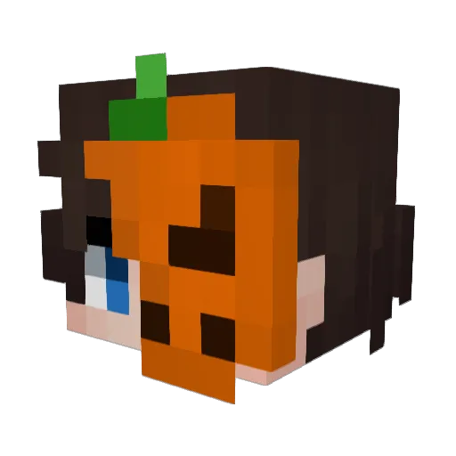Jerroo Minecraft avatar head, 3D render