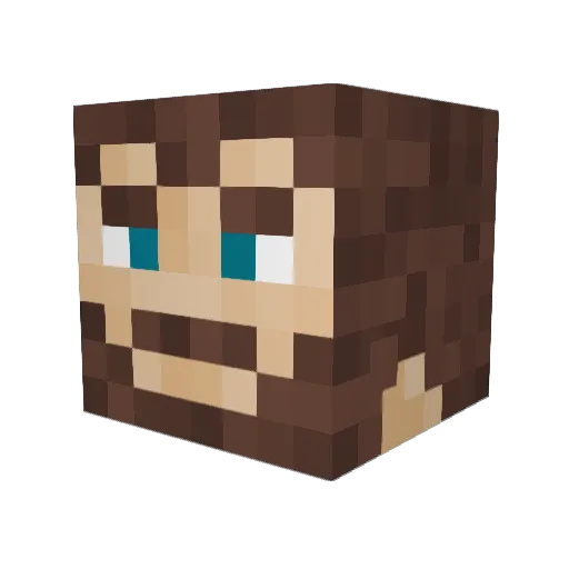 Jerry505 Minecraft avatar head, 3D render