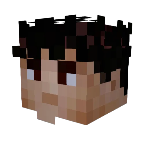 JerryFin Minecraft avatar head, 3D render
