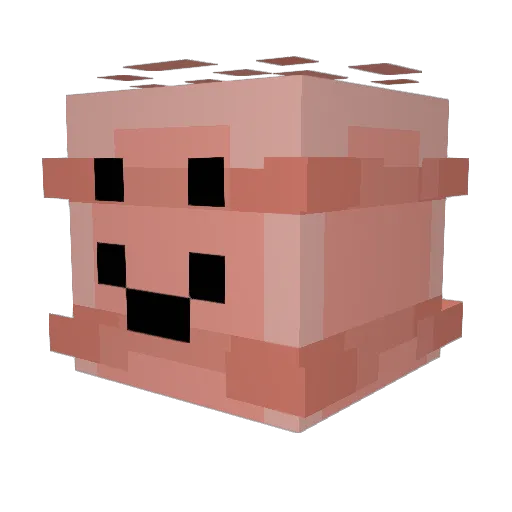 JerryTheWorm Minecraft avatar head, 3D render