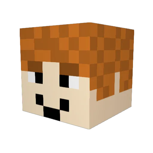 JerryVL7 Minecraft avatar head, 3D render