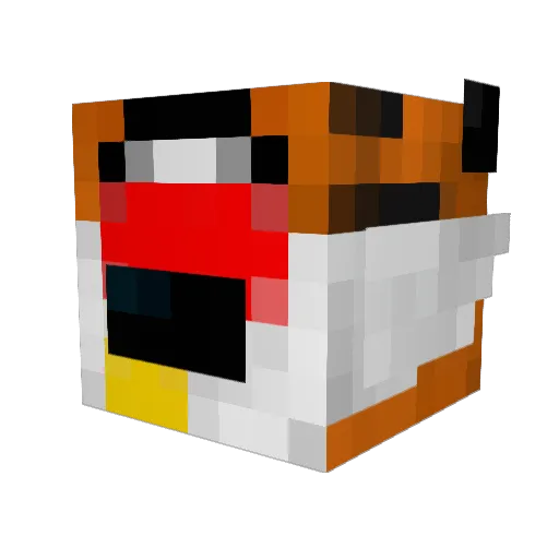 Jerry_Perry123 Minecraft avatar head, 3D render